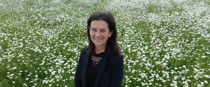 South Cambs Council leader Bridget Smith 