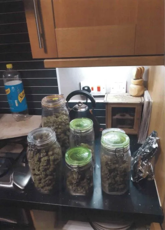 Karl Cooke of March, jailed for five years; photos of the cannabis found at his home.