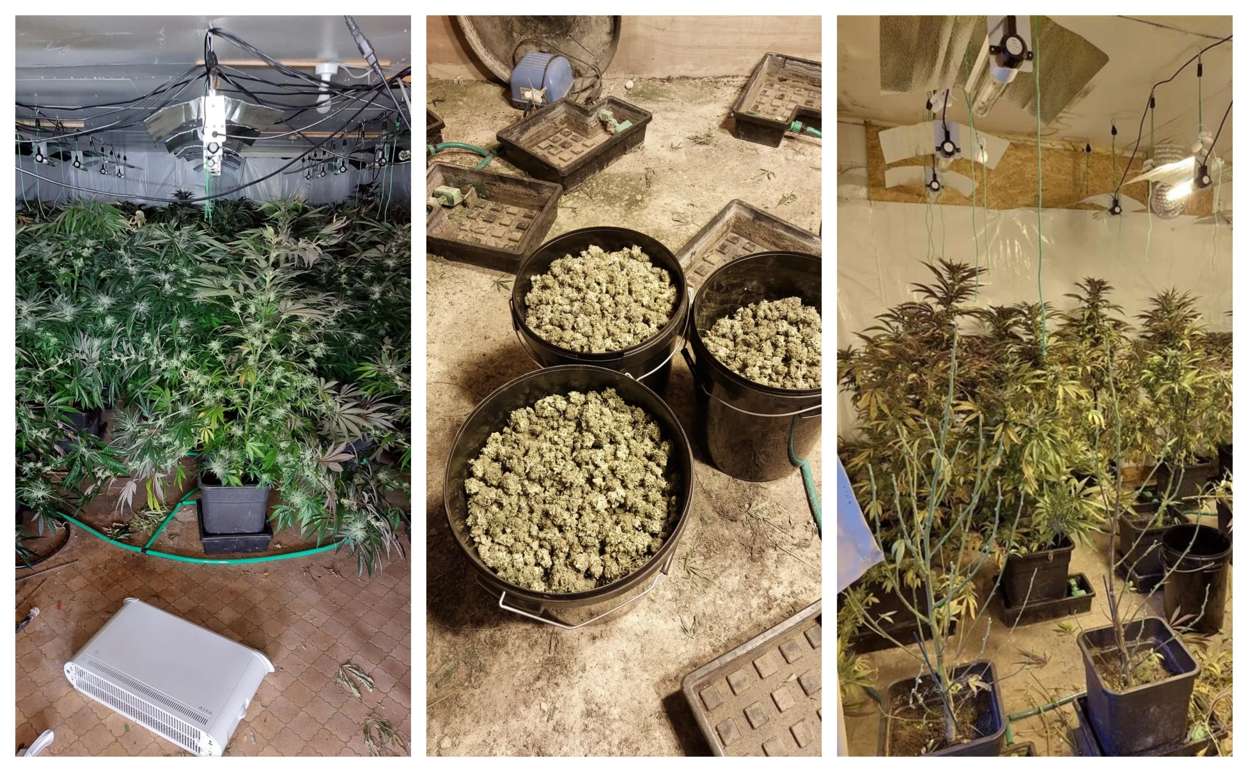 “Two men have been arrested and bailed after police found a cannabis factory on the Norfolk/Cambridgeshire border yesterday afternoon (3 May 2023),” said a spokesperson for Norfolk Police.