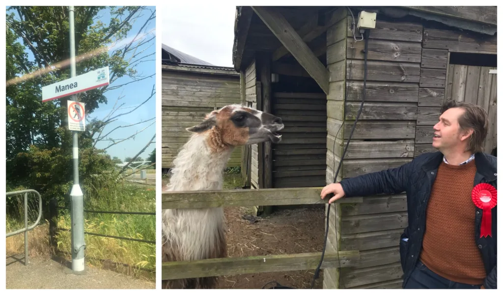 Last time in Manea? I met a Llama - amazing what you find in #FabulousFens Out and about on public transport #SixDistrictChallenge #BetterTransportWeek