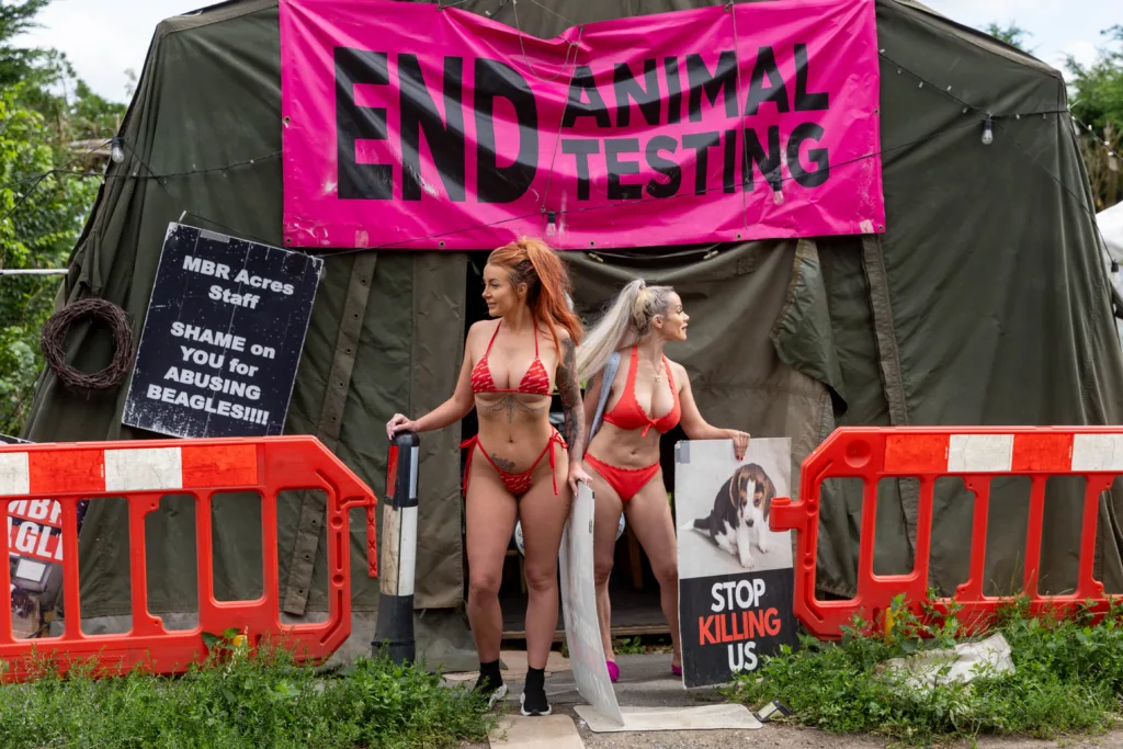 Babestation Zoe Grey and Stella Paris turn up to raise awareness of animal testing at MBR Acres, Bailiffs on behalf of Mills and Reeves throw papers at people in an attempt to serve them but just litter the highway. MBR Acres, Huntingdon Monday 10 July 2023. PHOTO: Terry Harris 