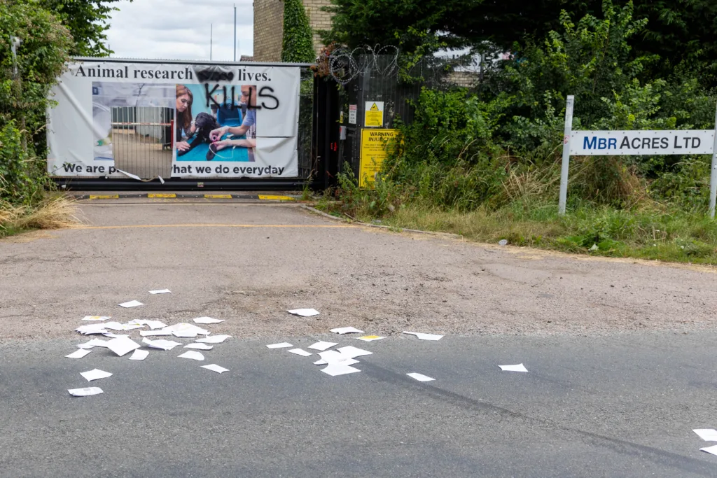 Babestation Zoe Grey and Stella Paris turn up to raise awareness of animal testing at MBR Acres, Bailiffs on behalf of Mills and Reeves throw papers at people in an attempt to serve them but just litter the highway. MBR Acres, Huntingdon Monday 10 July 2023. PHOTO: Terry Harris 