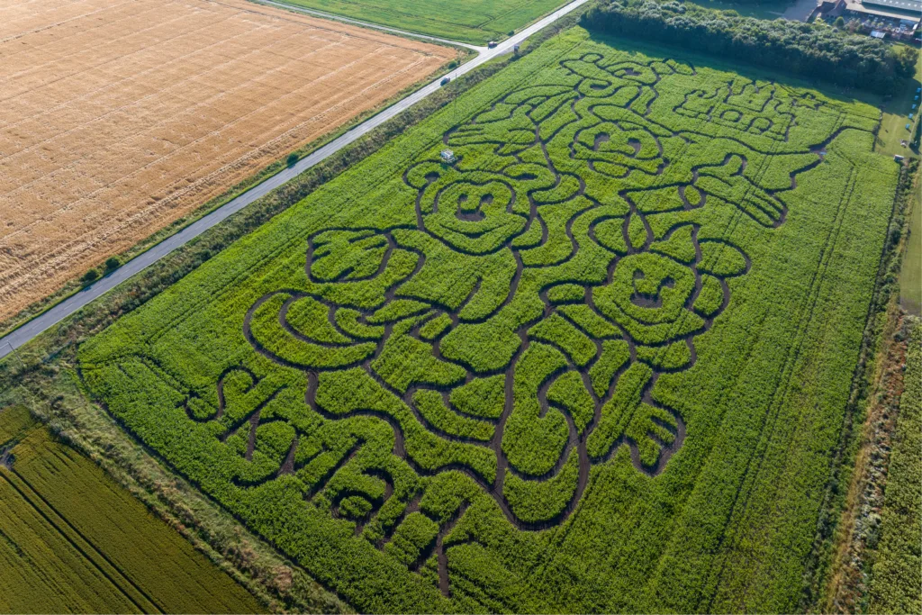 Maize Maze “this is going to be a really great summer and we can’t wait to open the doors on the 20th July” Skylark Garden Centre, March Friday 07 July 2023. Picture by Terry Harris 