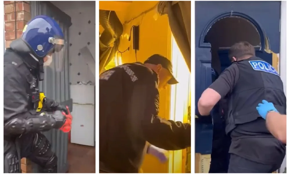 Video footage/images released by Cambridgeshire police give an indication of the scale of the operation to tackle illegal cannabis grows across the county: 19 raids in one month.