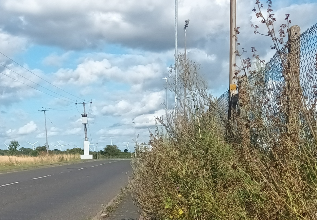 Areas like this one in Fenland need sorting says petition organisers