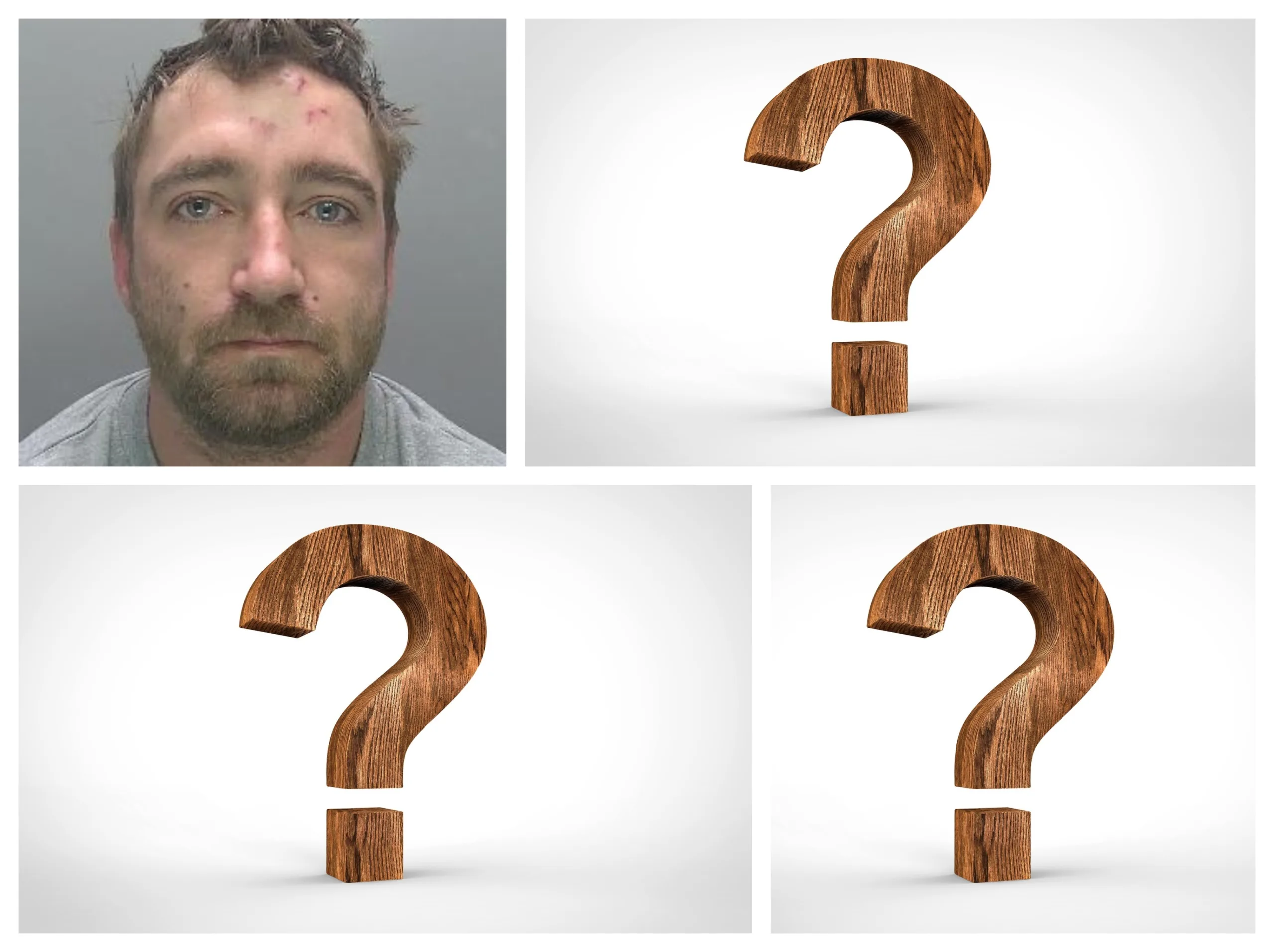 Danny Stone-Parker, 33, of Sunflower Street, Cambridge, was found hiding in a recycling bin on Stretham recreation ground. He has been jailed for 18 months. We cannot show photographs of his two accomplices since they only received suspended sentences. The remaining question mark is reserved for the fourth suspect, still at large.