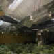 A photo of a cannabis grow room from the warrant at Wicken