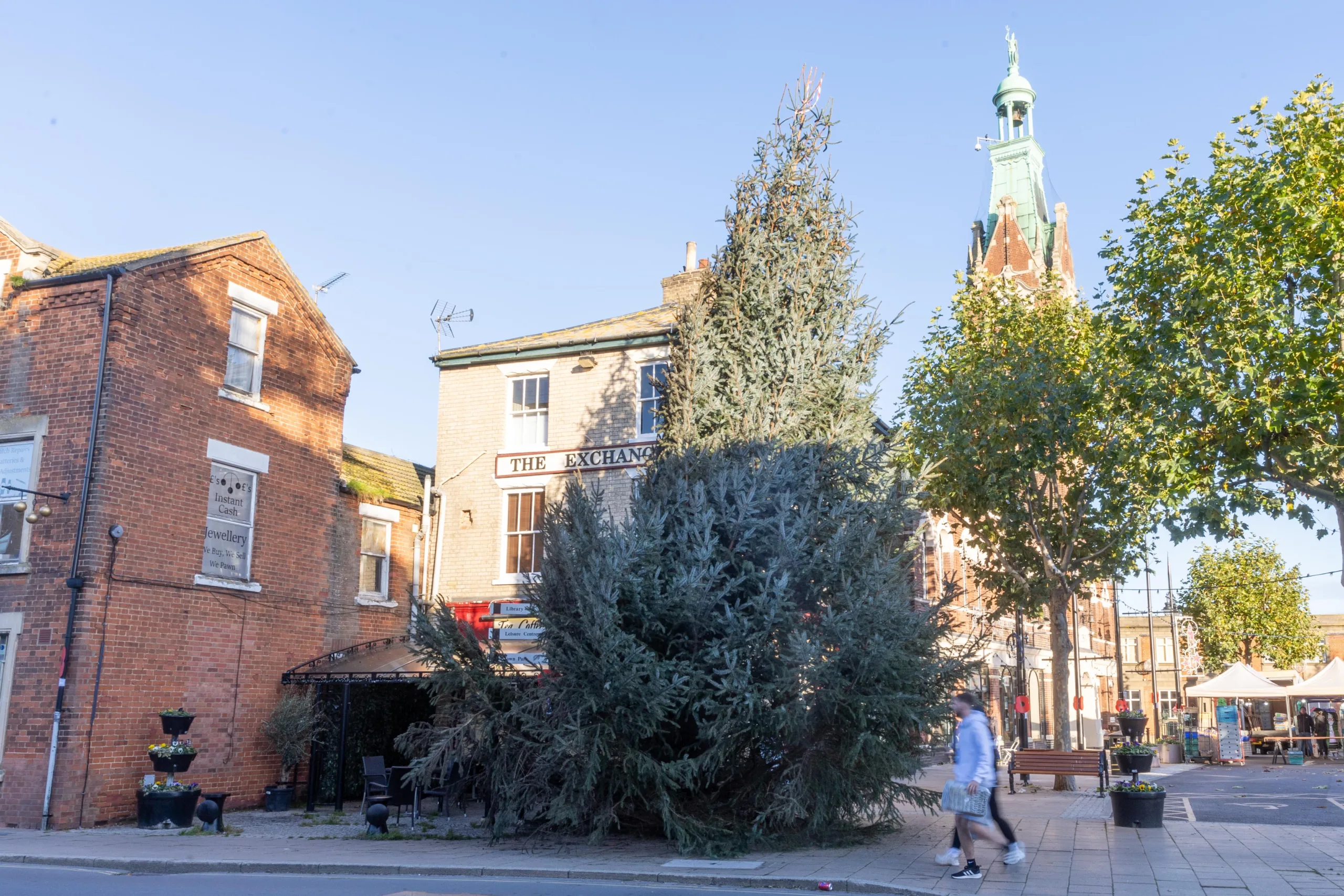 Christmas Tree, Town Centre, March Saturday 11 November 2023. Picture by Terry Harris.