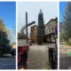 From left: Christmas tree in March yesterday, centre: Tree being delivered and right: special wonky tree cocktail from the Exchange