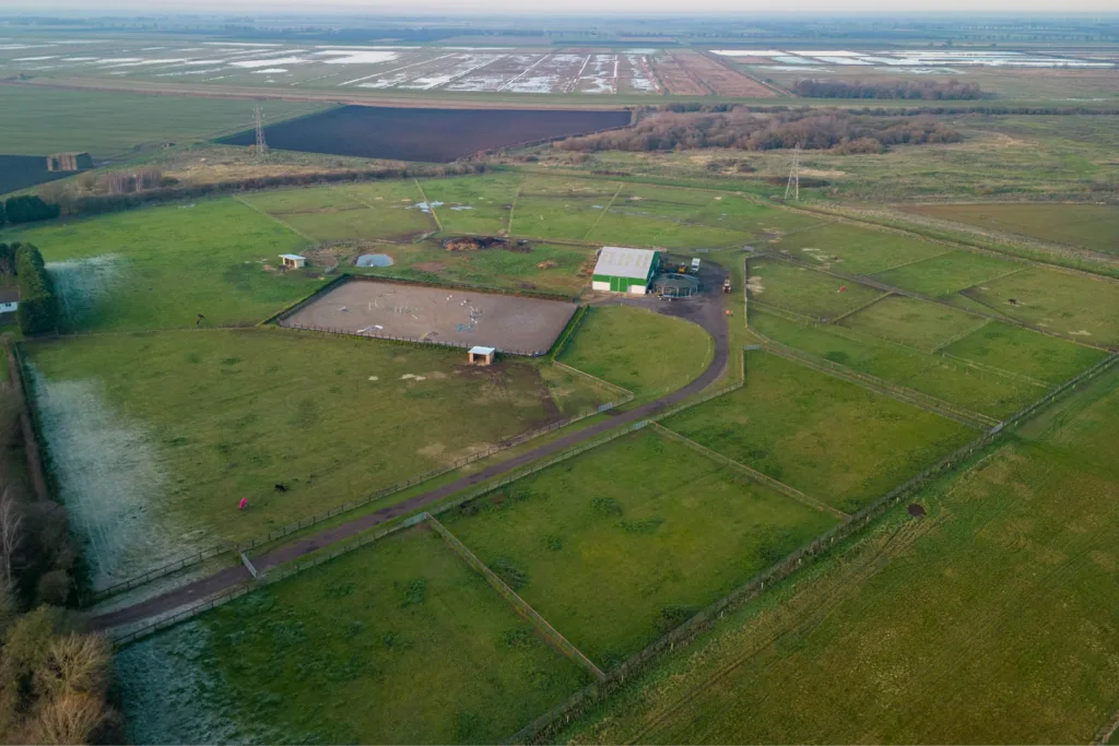 Businessman Steve Popely wants to build a 4-bed home on land east of 100 Feldale Lane, Coates, near Whittlesey. Fenland planners, however, point out that the stud farm he wants it to support is operating without planning consent. 