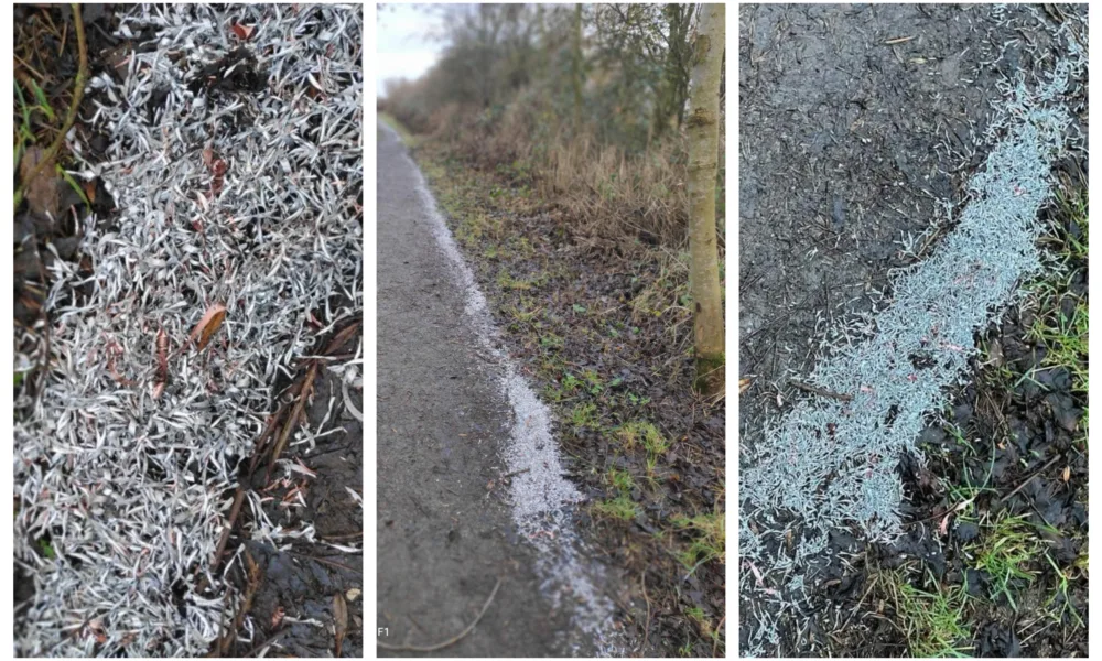 Photos of the razor-sharp metal shavings that appeared on Tuesday on this popular path in March, Cambridgeshire.