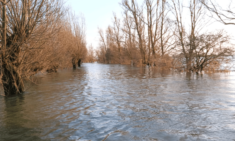 Welney Wash road flooded: Photo, courtesy of Welney Flood Watch, taken on February 11