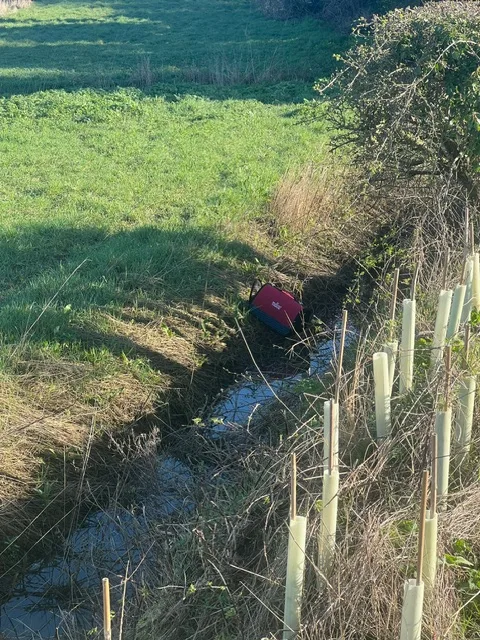 The circumstances in which were the cats were found at Balsham near Cambridge is being treated as suspicious Photos: RSPCA