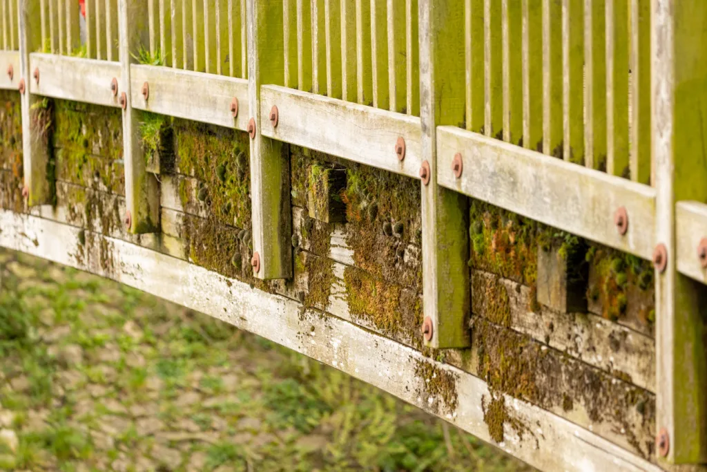 MP Paul Bristow has called for bridges at Cuckoos Hollow, Peterborough, to re-open despite warnings for public safety over their poor condition. 