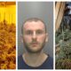 Renaldo Denollari of Elderberry Close, Ely, grew cannabis in 2 bedrooms and his loft in Ely. He has been jailed