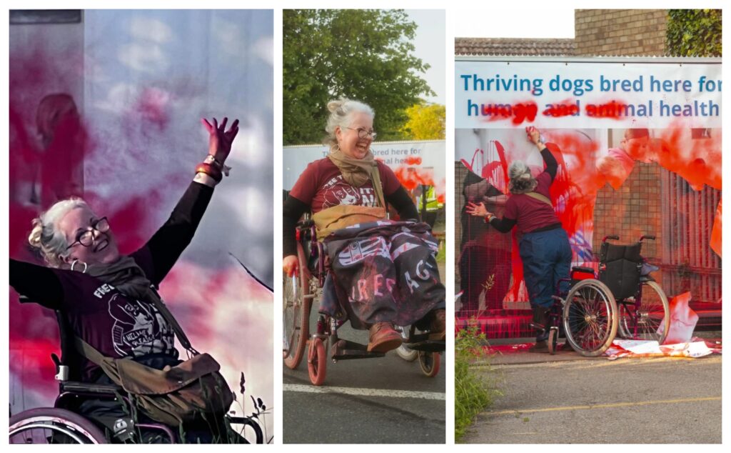 Tímea Kovács, a photographer working on a documentary photo project with Camp Beagle took these photos of Louise Ryan and her wheelchair protest.