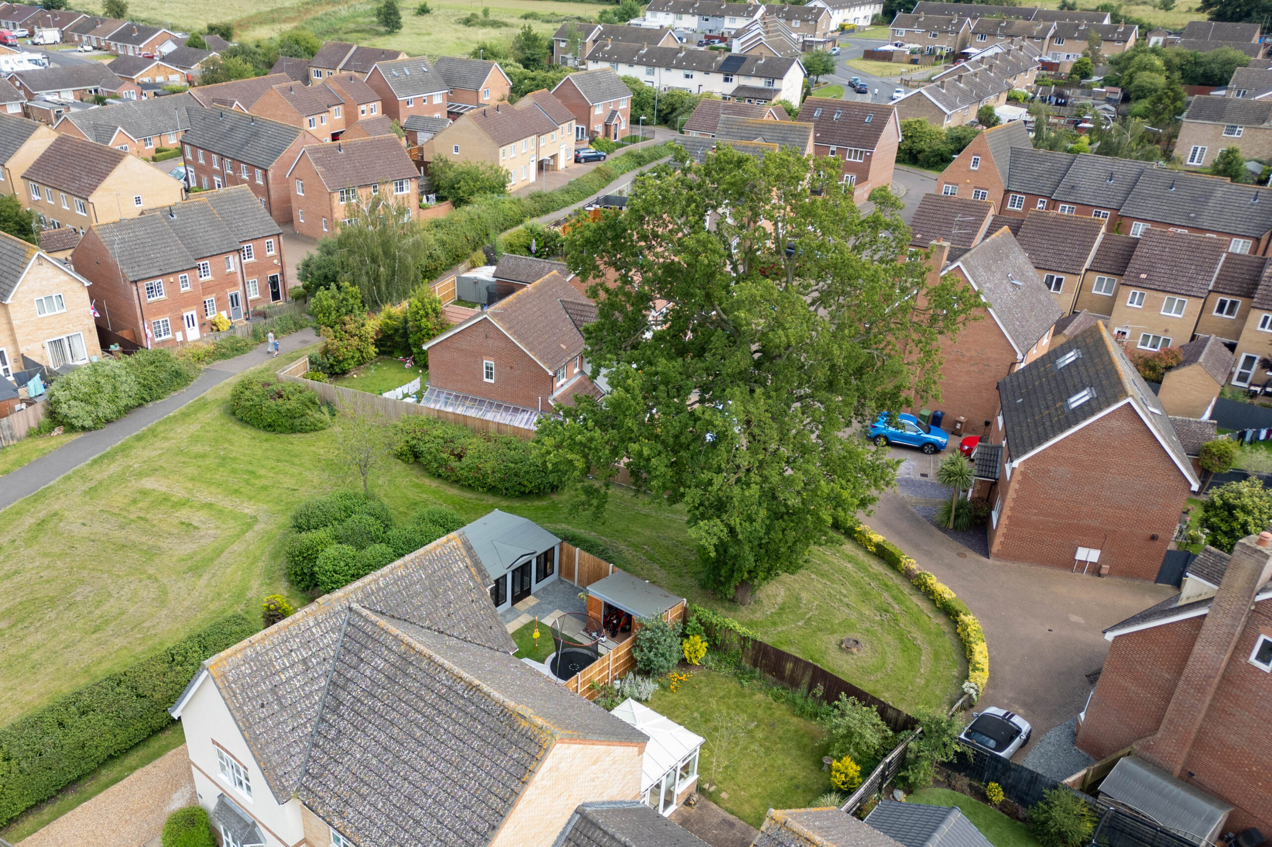 Residents and even the town council want Fenland District Council to refuse its own application to fell a 50- to 60-year-old protected oak tree off Bridle Close, Chatteris. PHOTO: Terry Harris