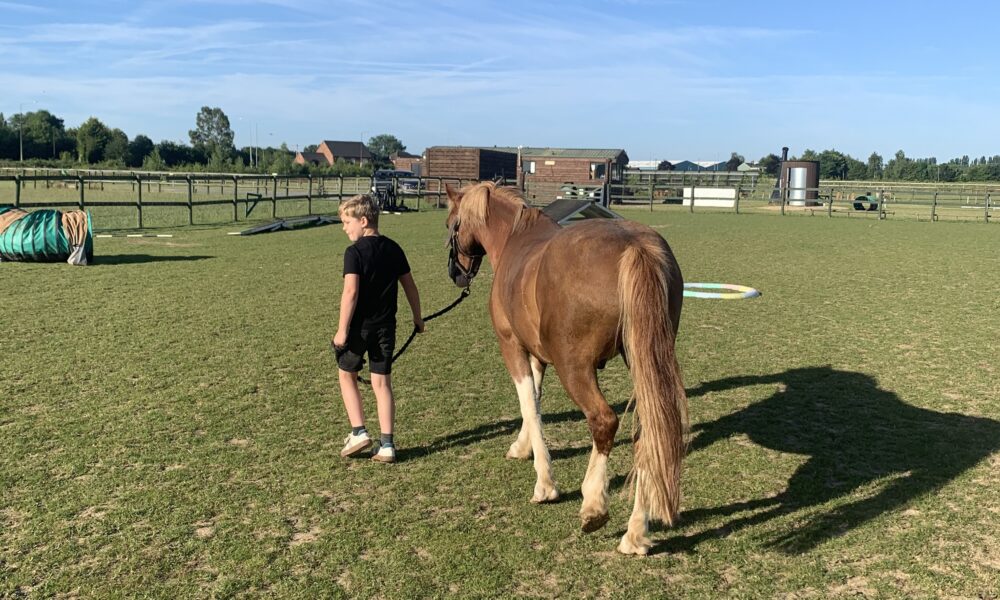 Clarion Futures, the charitable foundation of Clarion Housing Group which owns and manages more than 4,100 homes across Fenland, has awarded £8,373 in funding to support three local projects offering free activities for children and young people over the summer.