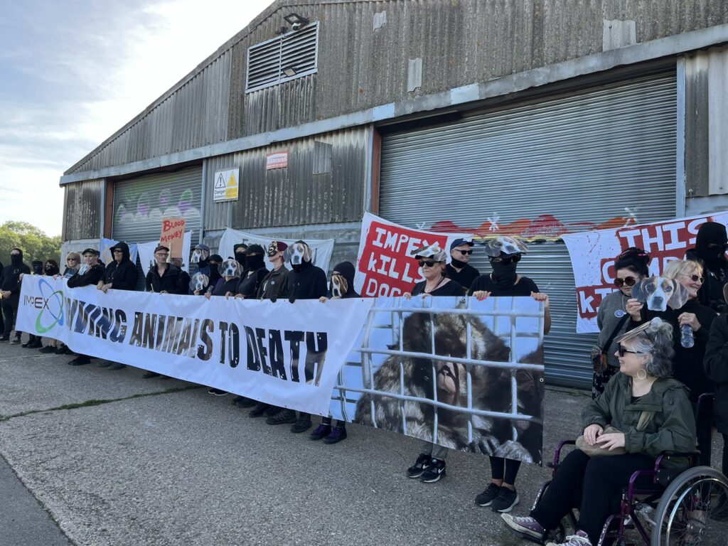 The protest is led by Free the MBR Eagles, which describes itself as a “grassroots animal rights campaign primarily focused on the grubby vivisection industry”.